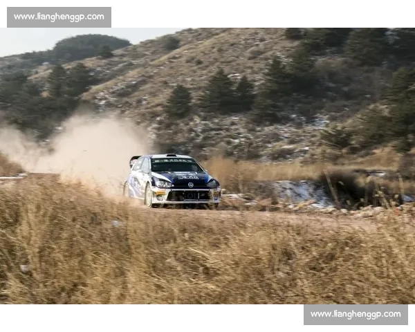 亚洲车手发威积分榜新势力崛起值得期待！